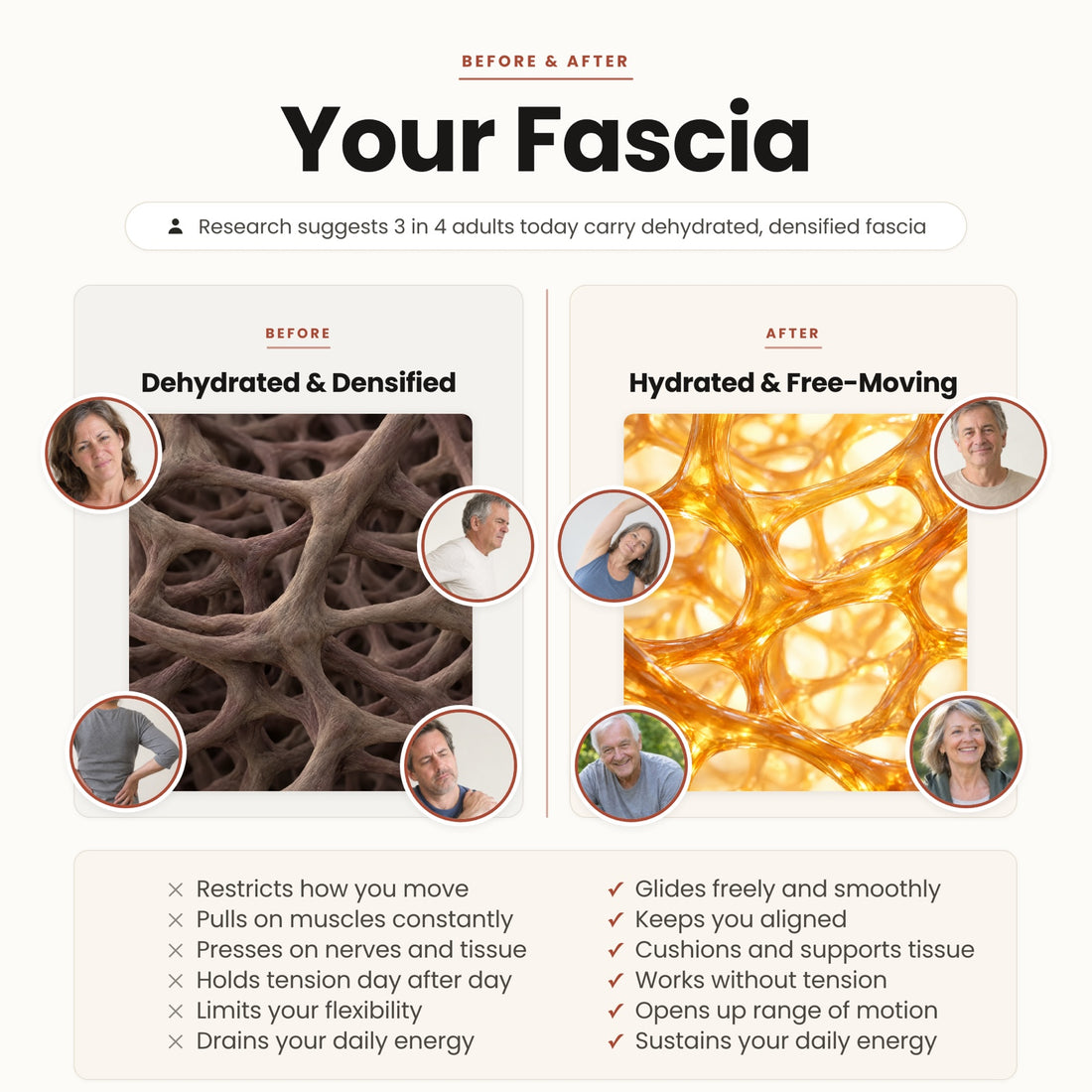 Your fascia, dehydrated and densified versus hydrated and free moving