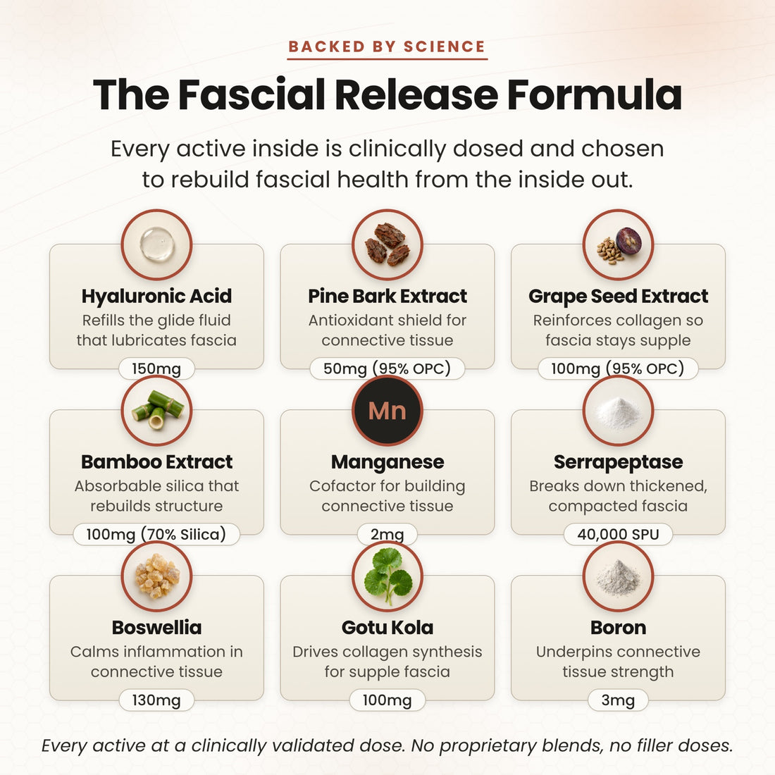 The Fascial Release formula, nine actives at clinical doses